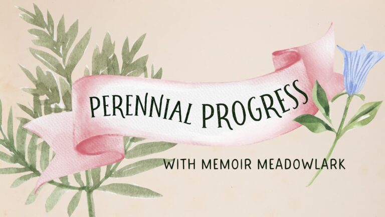 Perennial Progress with Memoir Meadowlark