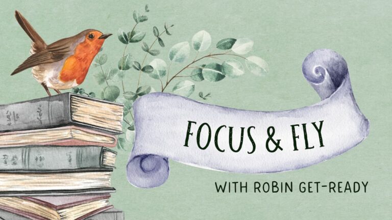 Focus and Fly with Robin Get-Ready