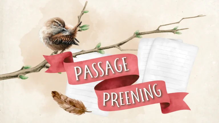 Passage Preening